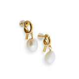 Caellia 14K gold knot earrings featuring dangling freshwater pearls on a white background.